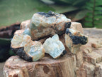 Natural Rare Aquamarine in Black Tourmaline Crystal Specimens x 1,48 Kg Lot From Karibib, Namibia
