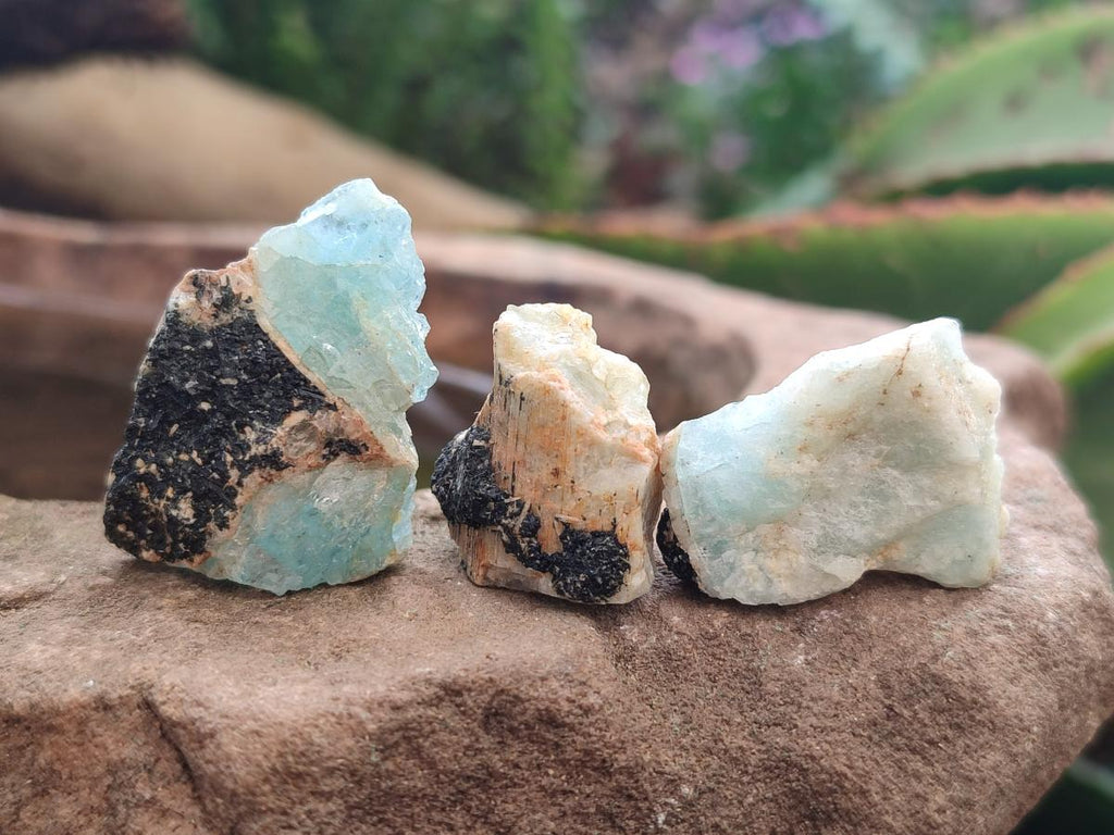 Natural Rare Aquamarine in Black Tourmaline Crystal Specimens x 1,48 Kg Lot From Karibib, Namibia