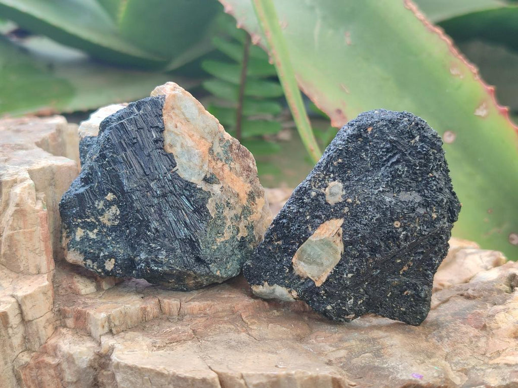 Natural Rare Aquamarine in Black Tourmaline Crystal Specimens x 1,48 Kg Lot From Karibib, Namibia