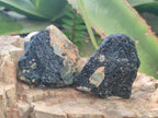 Natural Rare Aquamarine in Black Tourmaline Crystal Specimens x 1,48 Kg Lot From Karibib, Namibia