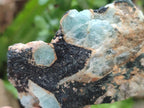 Natural Rare Aquamarine in Black Tourmaline Crystal Specimens x 1,48 Kg Lot From Karibib, Namibia