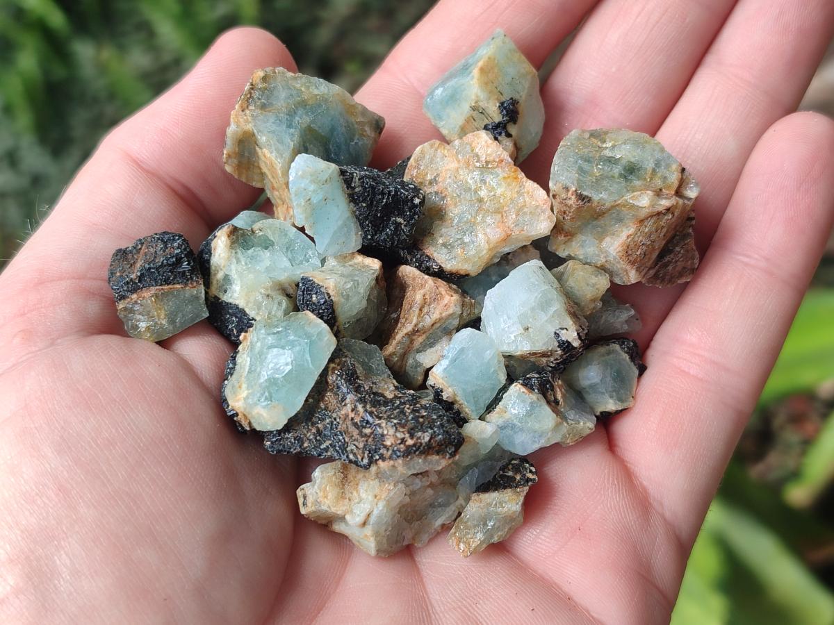 Natural Rare Aquamarine in Black Tourmaline Crystal Specimens x 1,48 Kg Lot From Karibib, Namibia