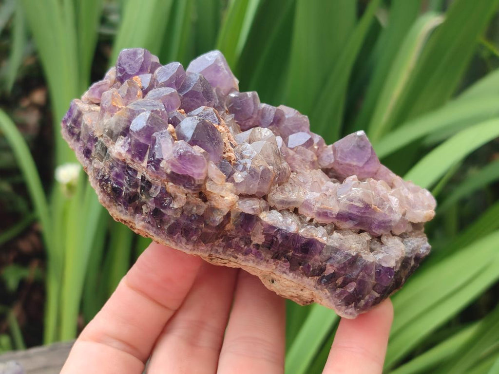 Natural Dark and Chevron Amethyst Clusters x 5 From Mapatizya, Zambia