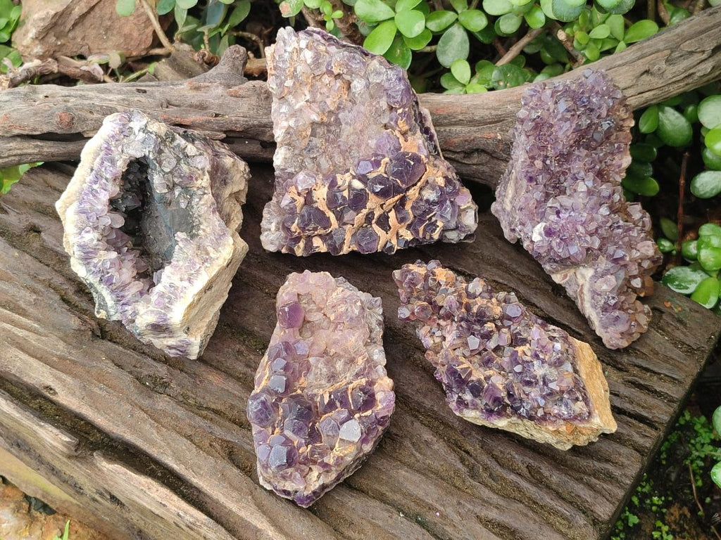 Natural Dark and Chevron Amethyst Clusters x 5 From Mapatizya, Zambia