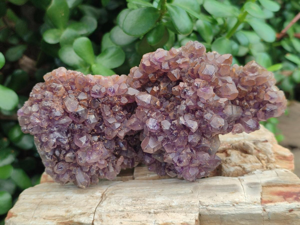 Natural Dark and Chevron Amethyst Clusters x 5 From Mapatizya, Zambia