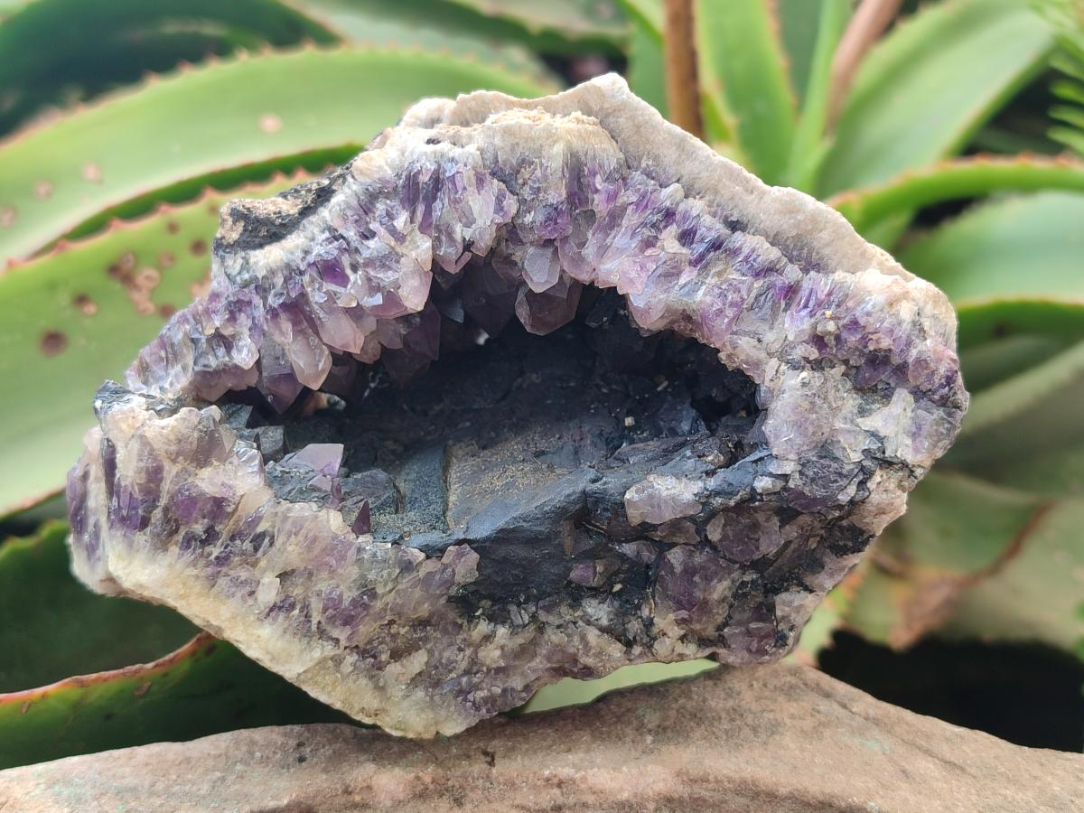 Natural Dark and Chevron Amethyst Clusters x 5 From Mapatizya, Zambia