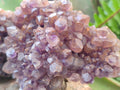 Natural Dark and Chevron Amethyst Clusters x 5 From Mapatizya, Zambia