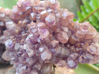 Natural Dark and Chevron Amethyst Clusters x 5 From Mapatizya, Zambia