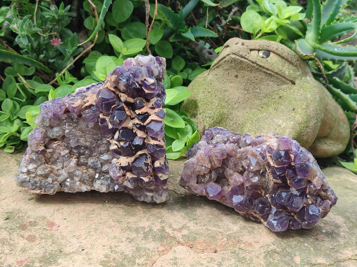 Natural Dark and Chevron Amethyst Clusters x 5 From Mapatizya, Zambia