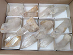 Natural Malagasy Quartz Single Crystals x 14 From Madagascar
