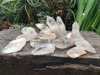 Natural Malagasy Quartz Single Crystals x 14 From Madagascar