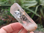Natural Malagasy Quartz Single Crystals x 14 From Madagascar