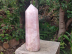 Polished Large Gemmy Rose Quartz Tower x 1 From Madagascar