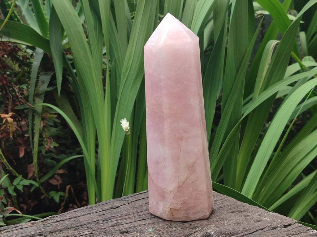 Polished Large Gemmy Rose Quartz Tower x 1 From Madagascar