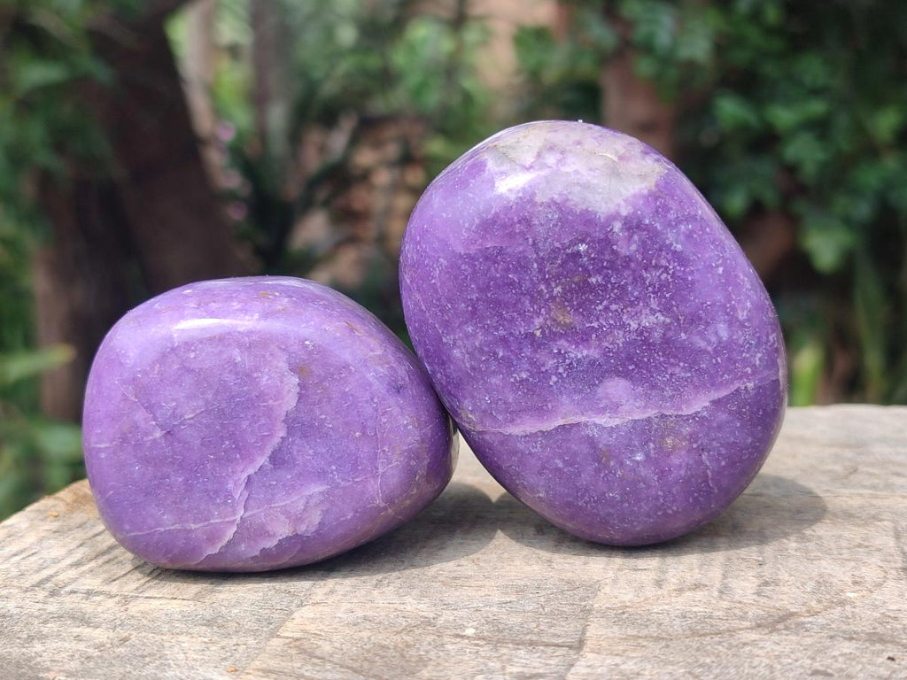 Polished Lepidolite Large Galets x 12 From Zimbabwe