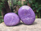 Polished Lepidolite Large Galets x 12 From Zimbabwe