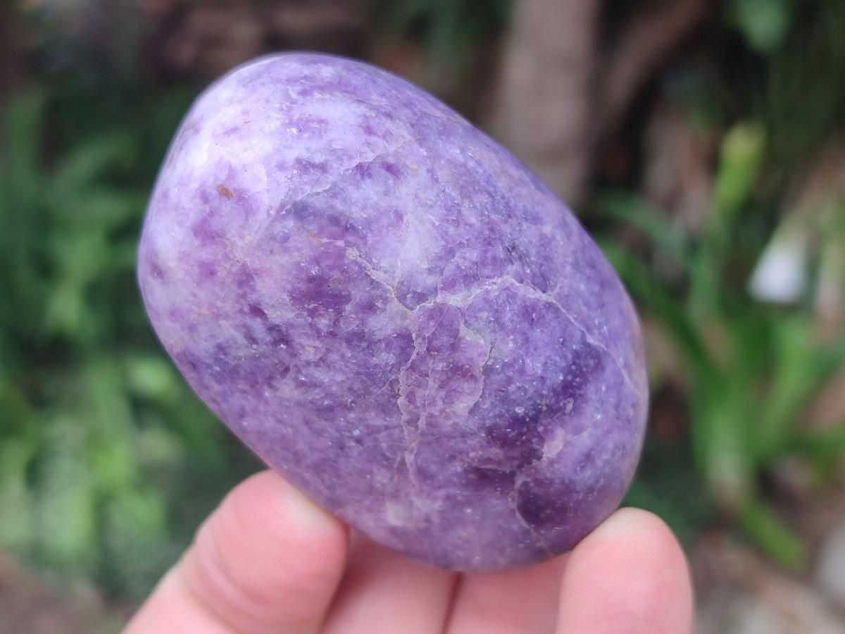 Polished Lepidolite Large Galets x 12 From Zimbabwe