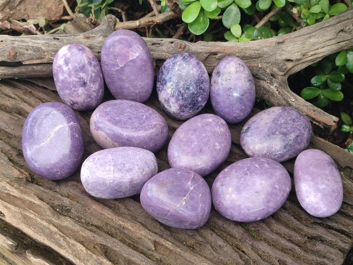 Polished Lepidolite Large Galets x 12 From Zimbabwe
