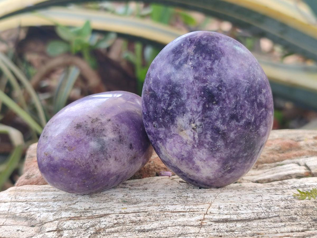 Polished Lepidolite Large Galets x 12 From Zimbabwe