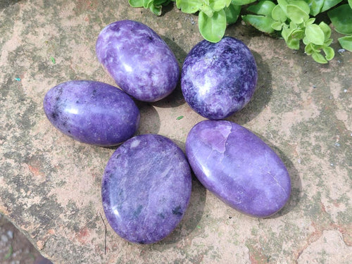 Polished Lepidolite Large Galets x 12 From Zimbabwe - Toprock Gemstones and Minerals 