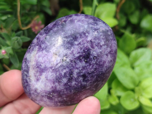 Polished Lepidolite Large Galets x 12 From Zimbabwe - Toprock Gemstones and Minerals 
