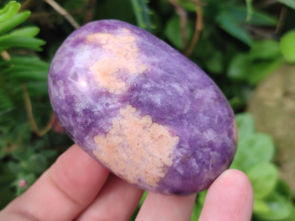 Polished Lepidolite Large Galets x 12 From Zimbabwe