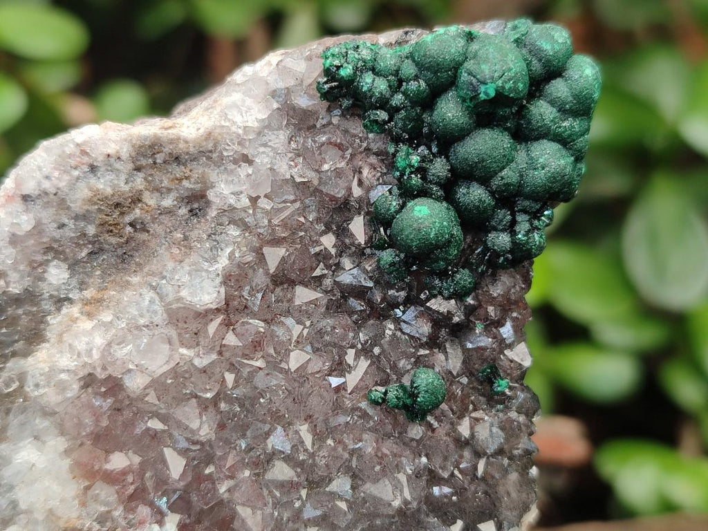 Natural Silky Ball Malachite Specimens with Drusy Quartz on Dolomite Matrix x 3 From Mindingi Mine, Kambove, Congo