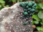 Natural Silky Ball Malachite Specimens with Drusy Quartz on Dolomite Matrix x 3 From Mindingi Mine, Kambove, Congo
