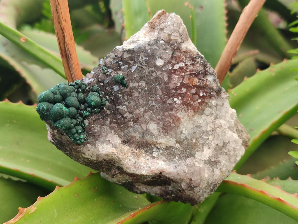 Natural Silky Ball Malachite Specimens with Drusy Quartz on Dolomite Matrix x 3 From Mindingi Mine, Kambove, Congo
