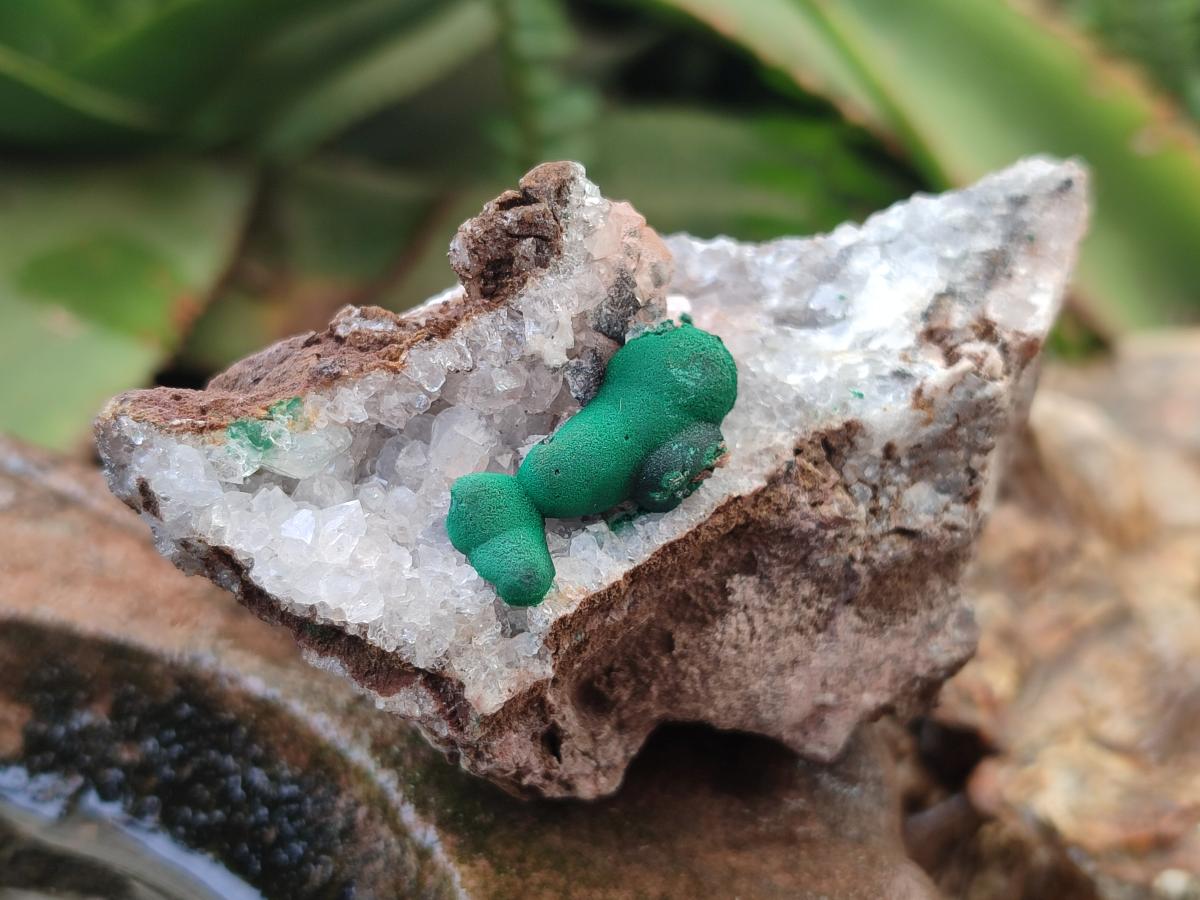 Natural Silky Ball Malachite Specimens with Drusy Quartz on Dolomite Matrix x 3 From Mindingi Mine, Kambove, Congo