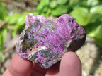 Natural Cobbed Stichtite Specimens x 2,83 Kg Lot From Barberton, South Africa