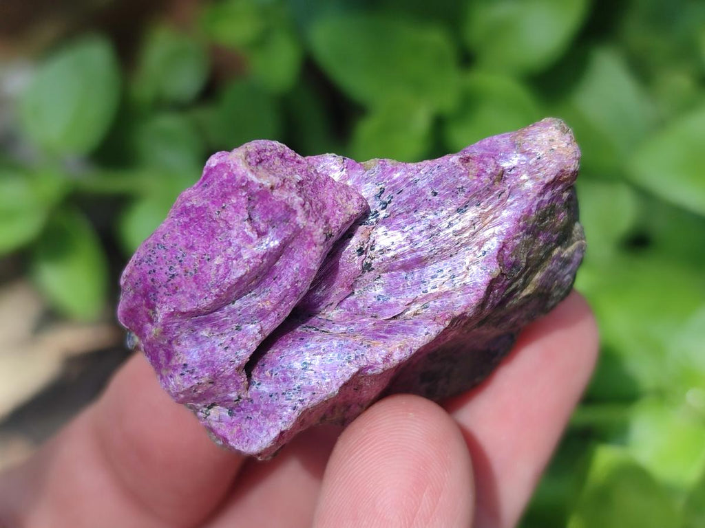 Natural Cobbed Stichtite Specimens x 2,83 Kg Lot From Barberton, South Africa