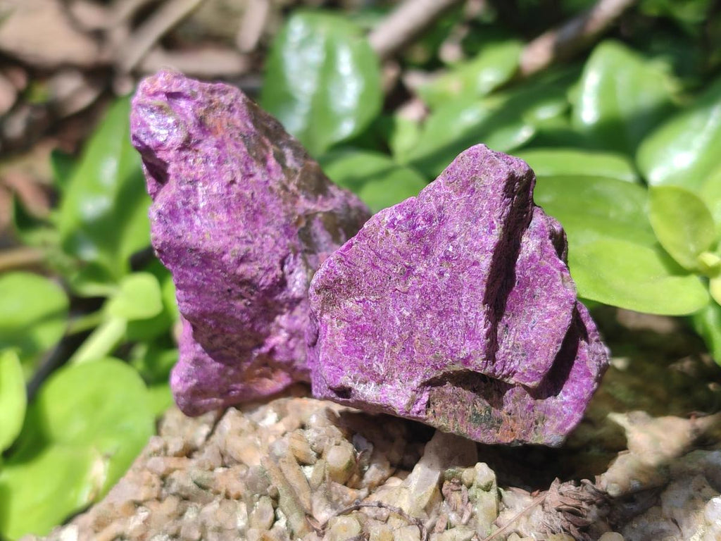 Natural Cobbed Stichtite Specimens x 2,83 Kg Lot From Barberton, South Africa