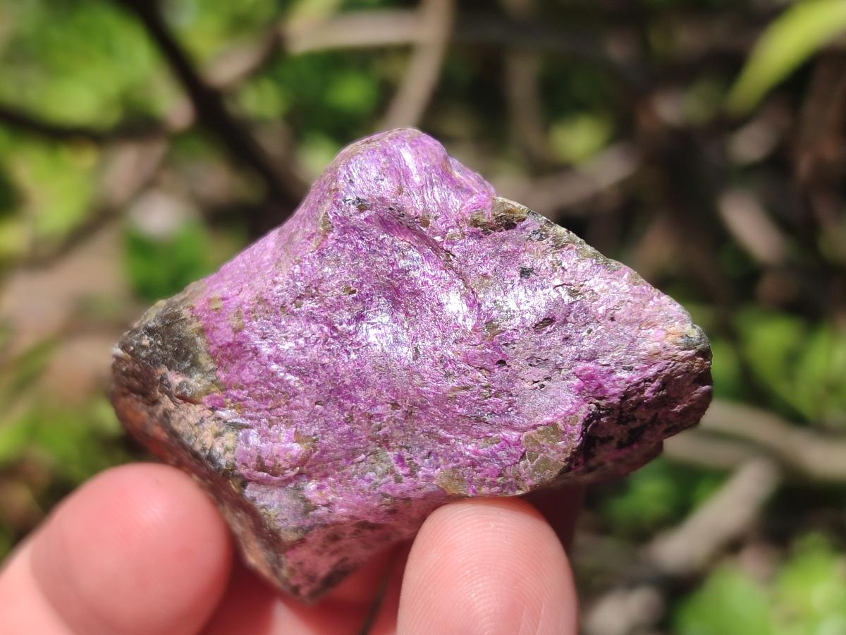 Natural Cobbed Stichtite Specimens x 2,83 Kg Lot From Barberton, South Africa