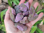 Natural Cobbed Stichtite Specimens x 2,83 Kg Lot From Barberton, South Africa