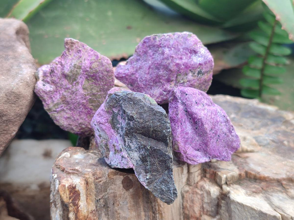 Natural Cobbed Stichtite Specimens x 2,83 Kg Lot From Barberton, South Africa