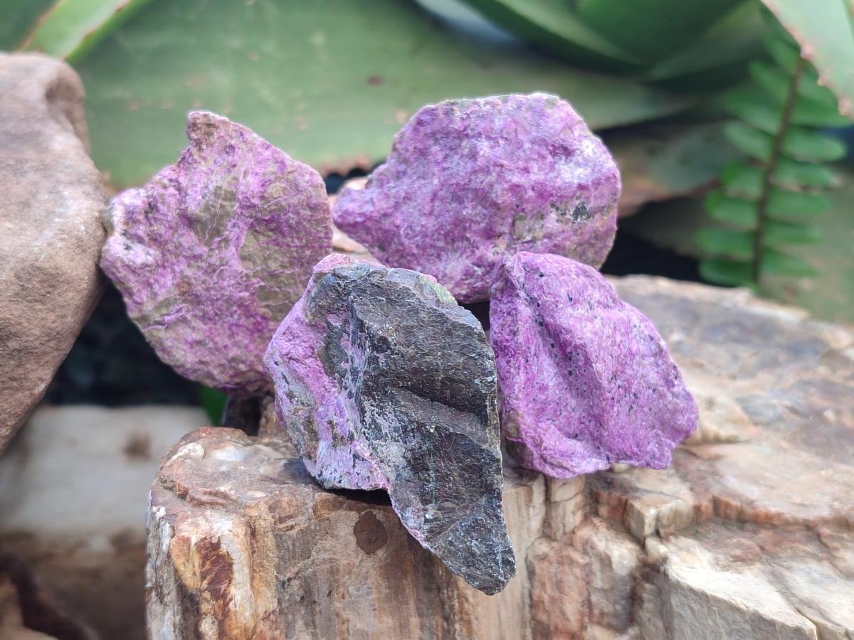 Natural Cobbed Stichtite Specimens x 2,83 Kg Lot From Barberton, South Africa