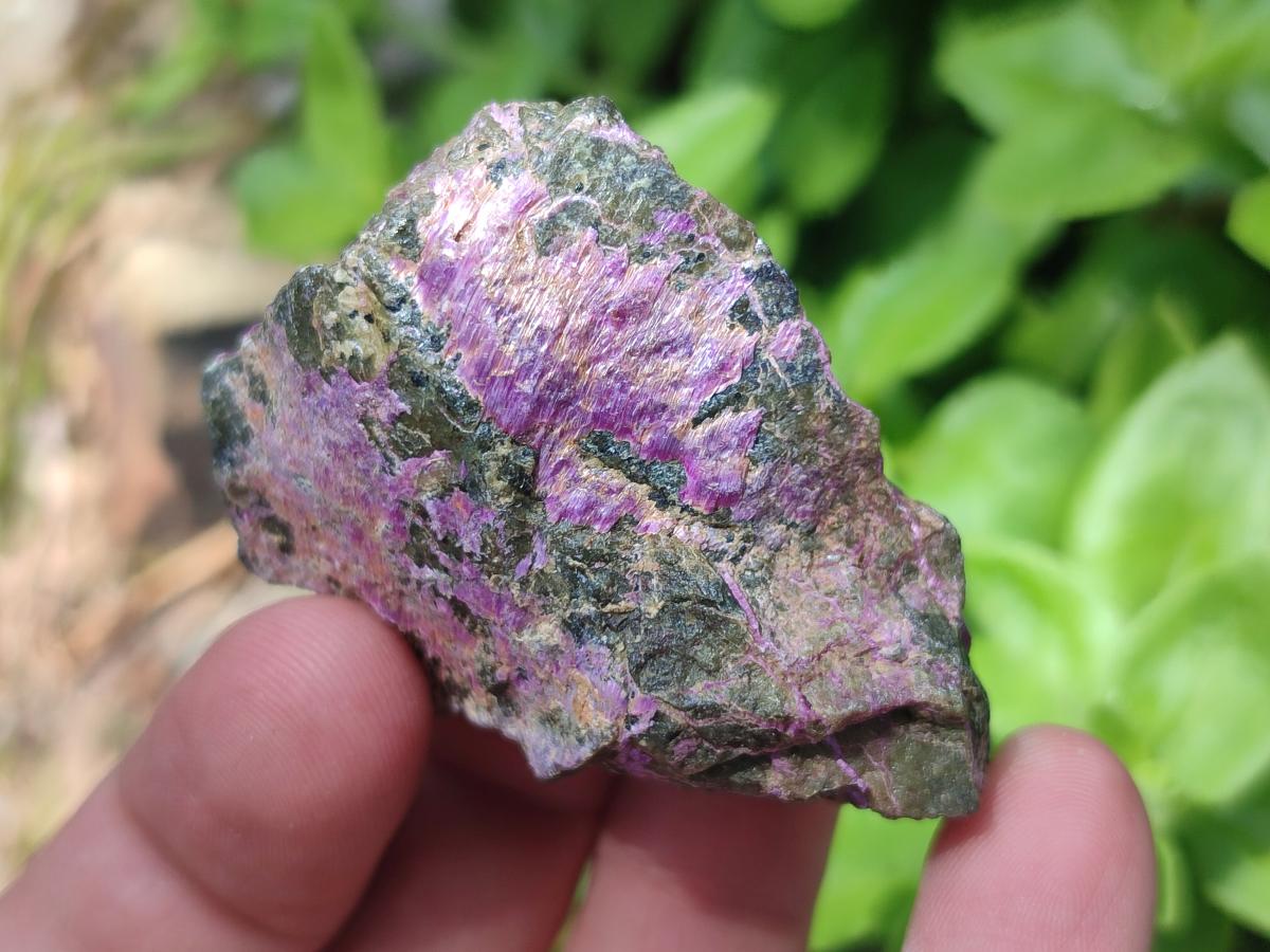 Natural Cobbed Stichtite Specimens x 2,83 Kg Lot From Barberton, South Africa