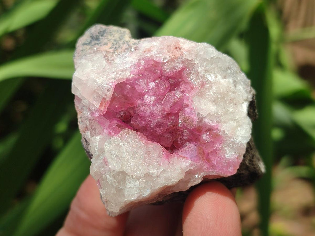 Natural Spherocobaltite Specimens x 6 From Mashamba West Mine, Congo