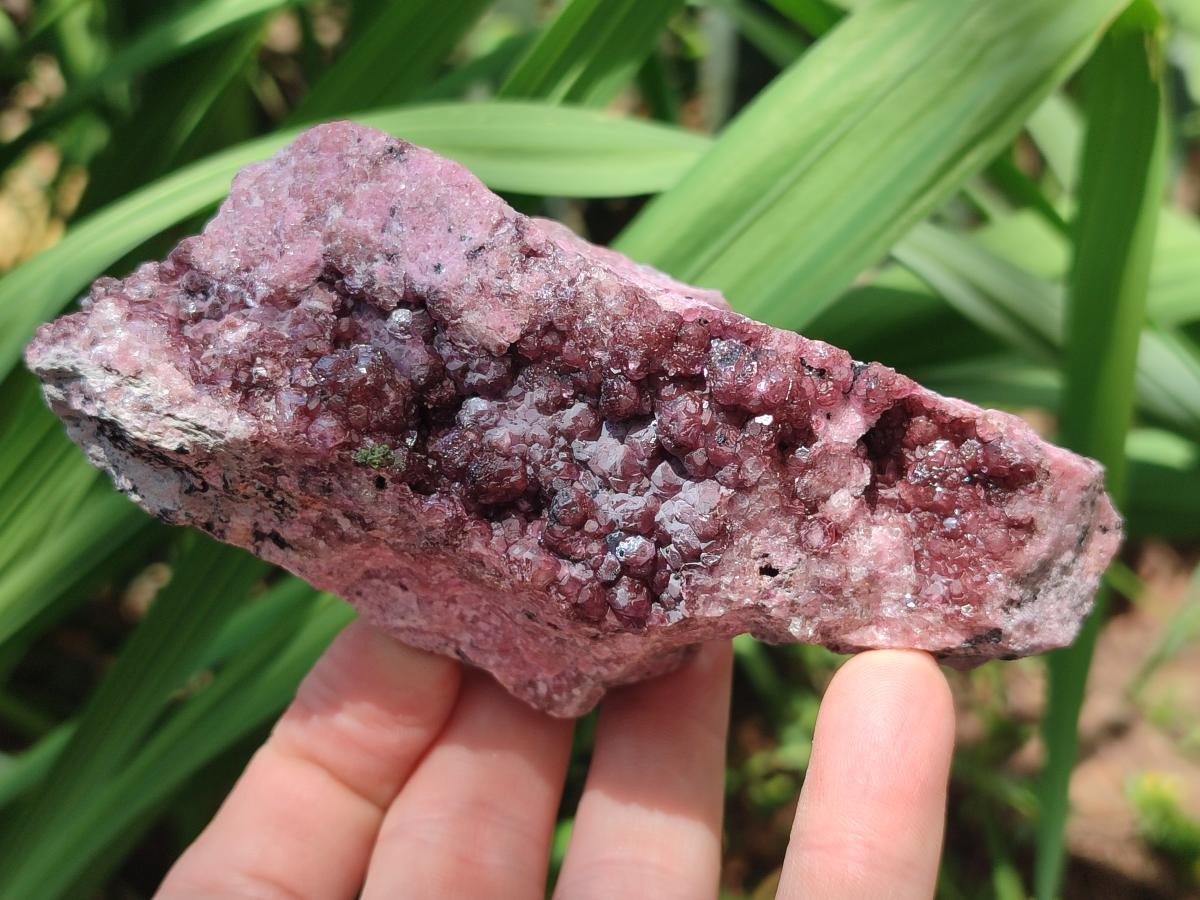 Natural Spherocobaltite Specimens x 6 From Mashamba West Mine, Congo