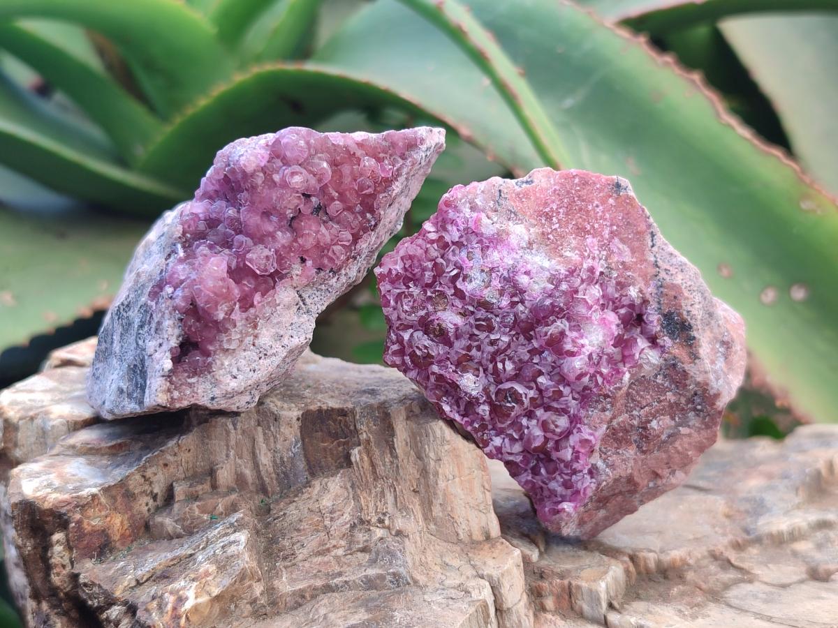 Natural Spherocobaltite Specimens x 6 From Mashamba West Mine, Congo