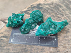 Natural Dioptase Specimens on Dolomite Matrix x 12 From Tantara Mine, Congo