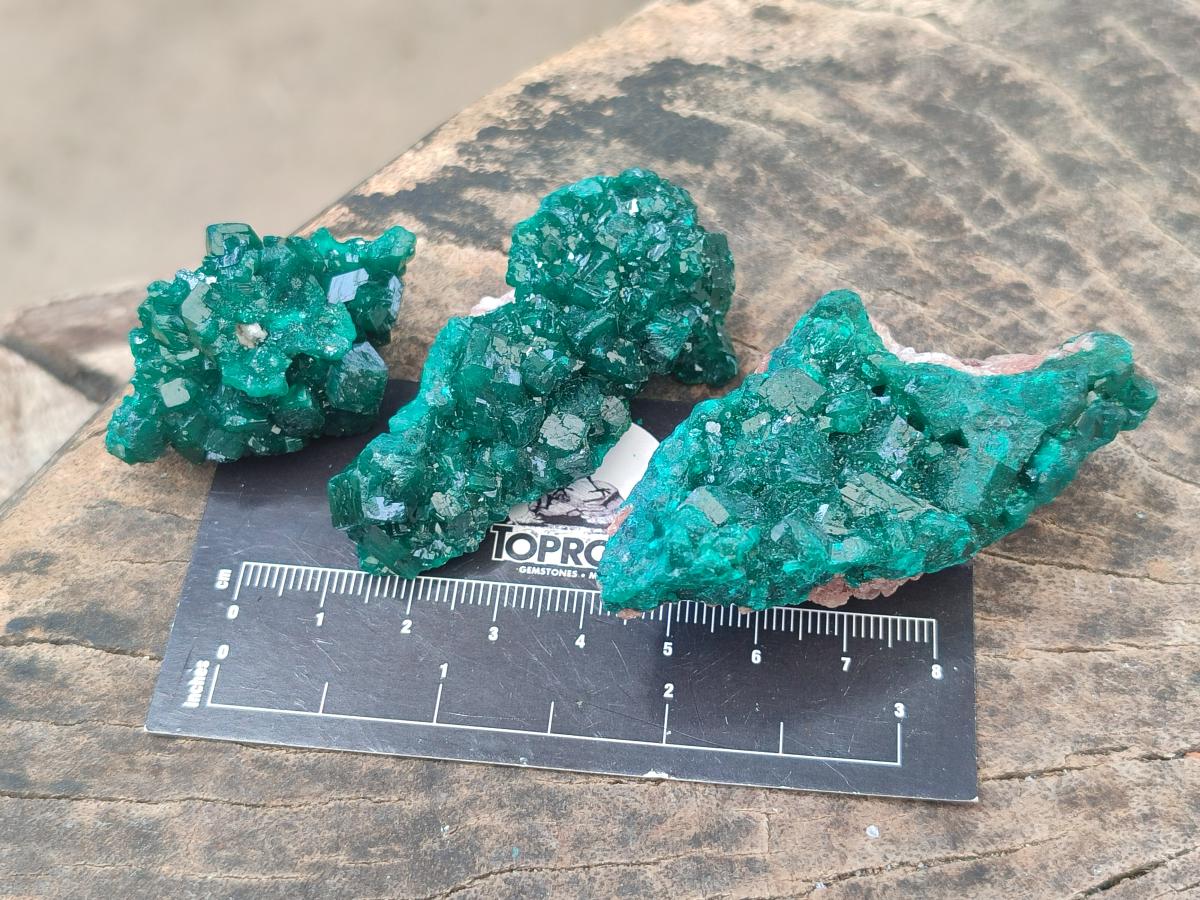 Natural Dioptase Specimens on Dolomite Matrix x 12 From Tantara Mine, Congo
