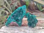 Natural Dioptase Specimens on Dolomite Matrix x 12 From Tantara Mine, Congo