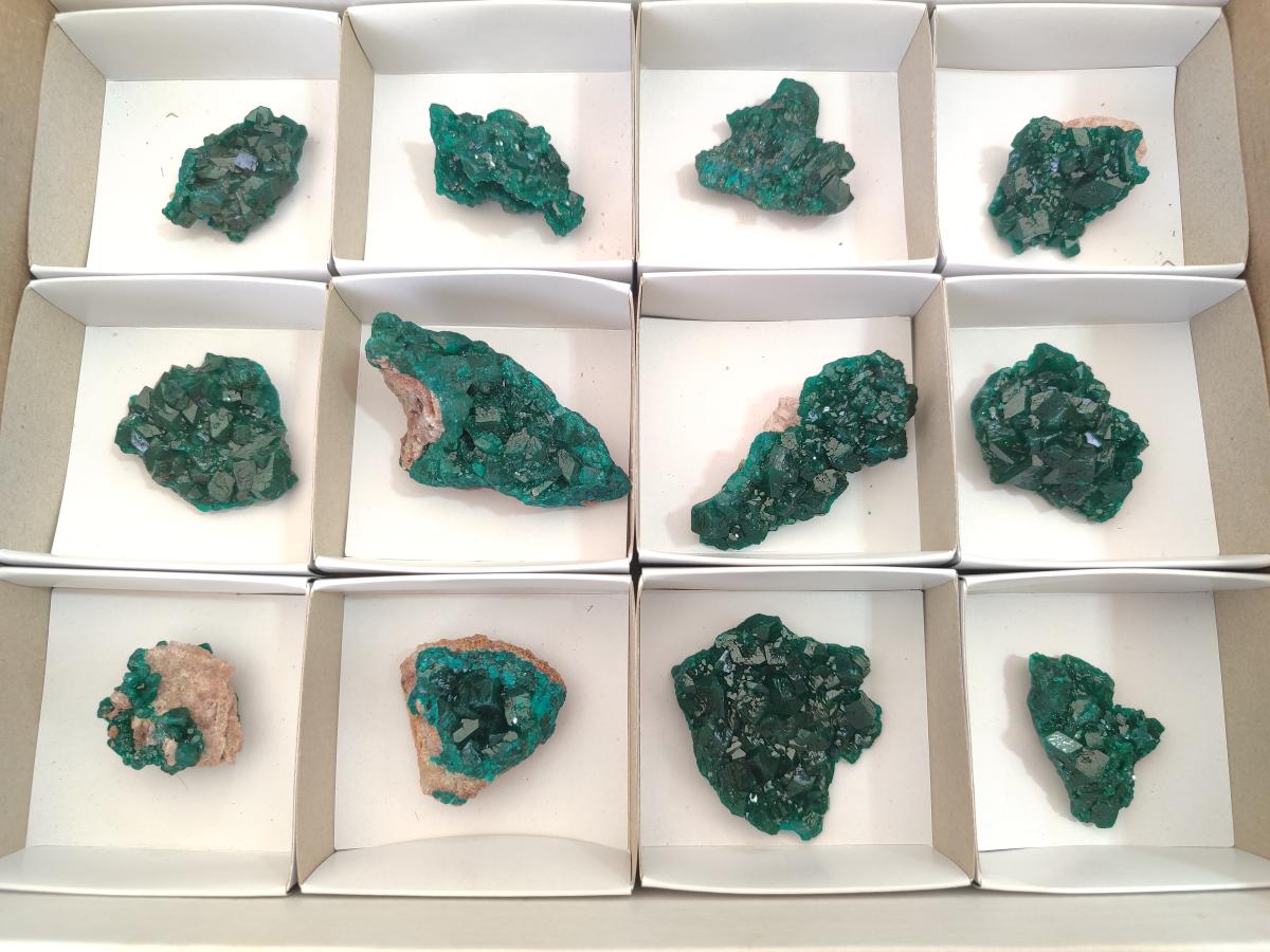 Natural Dioptase Specimens on Dolomite Matrix x 12 From Tantara Mine, Congo