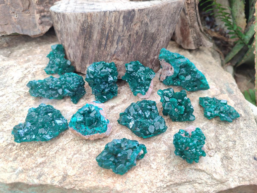 Natural Dioptase Specimens on Dolomite Matrix x 12 From Tantara Mine, Congo
