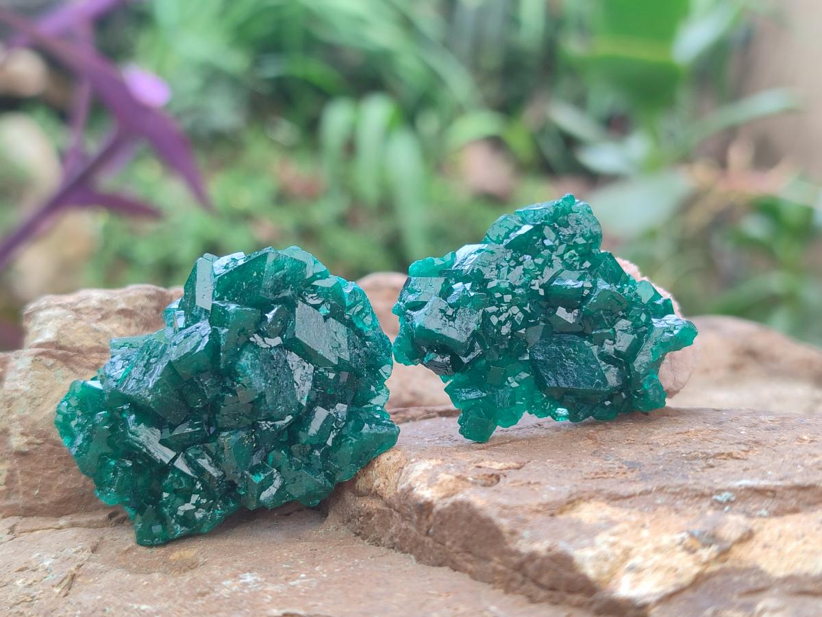 Natural Dioptase Specimens on Dolomite Matrix x 12 From Tantara Mine, Congo