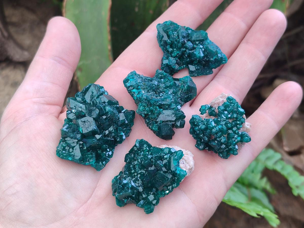 Natural Dioptase Specimens on Dolomite Matrix x 12 From Tantara Mine, Congo
