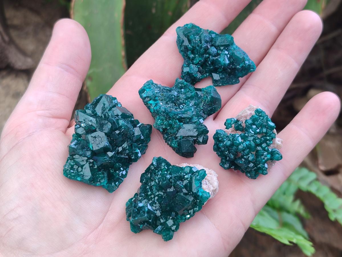 Natural Dioptase Specimens on Dolomite Matrix x 12 From Tantara Mine, Congo