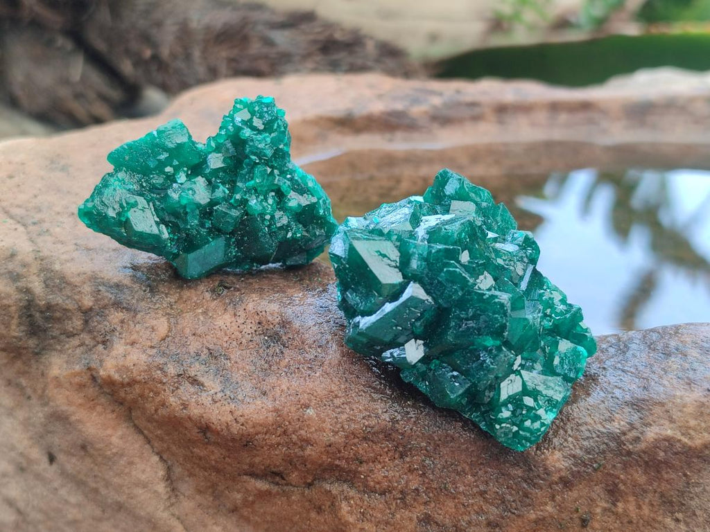Natural Dioptase Specimens on Dolomite Matrix x 12 From Tantara Mine, Congo